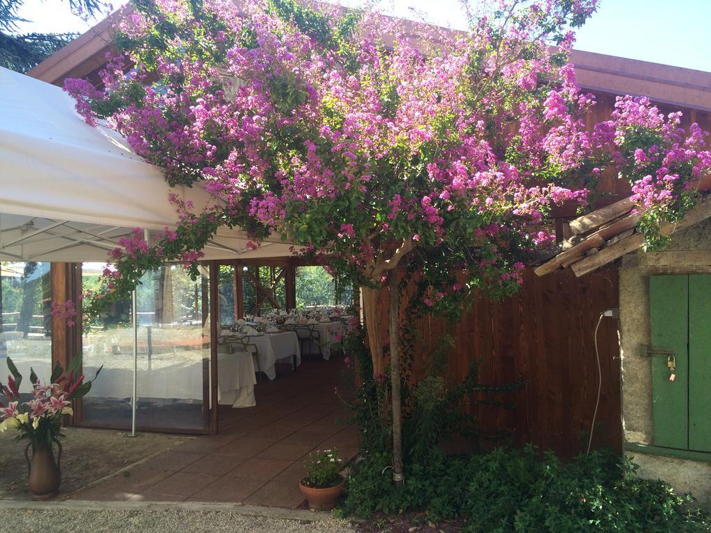 הוילה Carpeneto Agriturismo Ristorante Albachiara מראה חיצוני תמונה